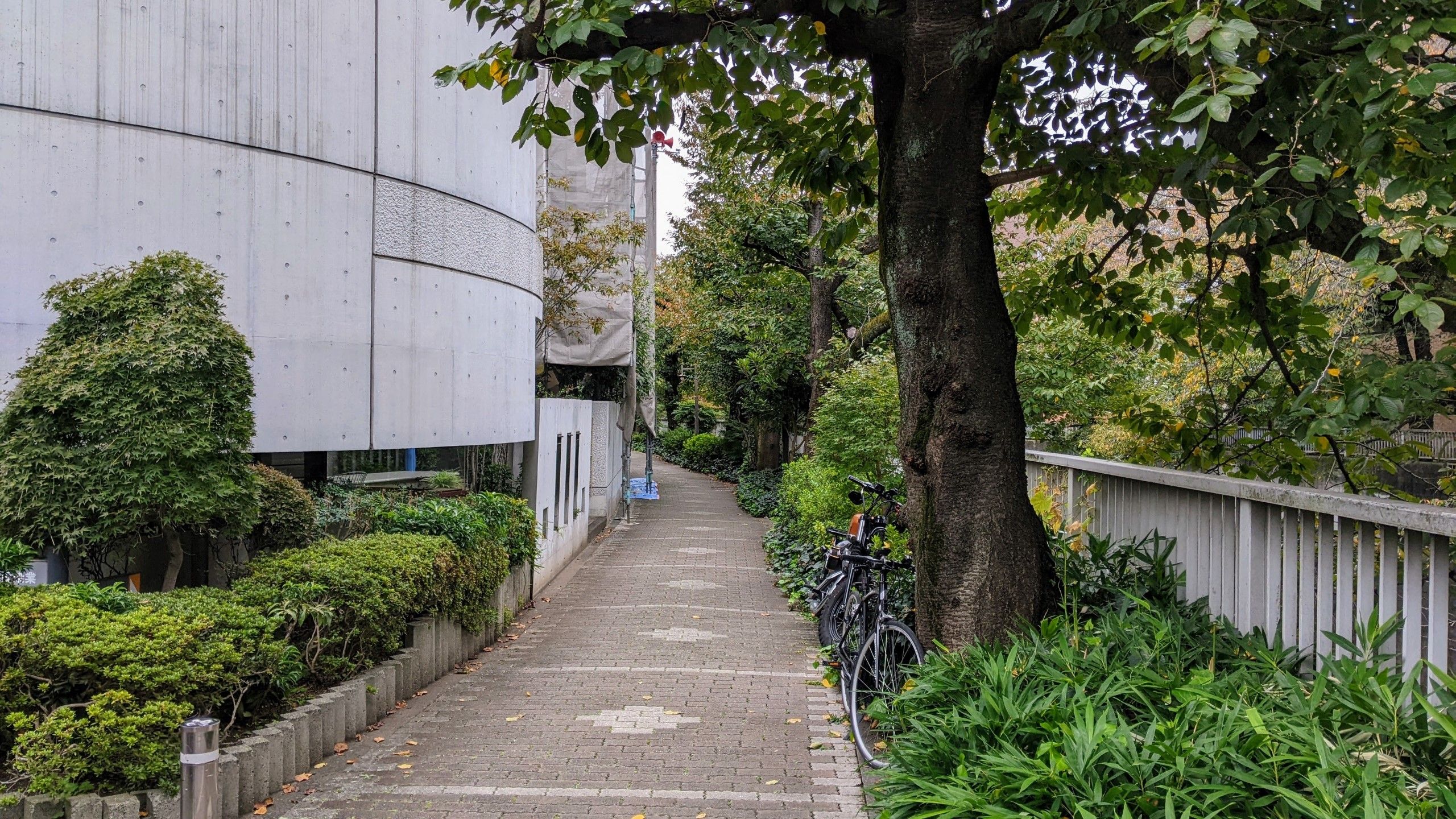 見んかと神田川の間には緑に囲まれ歩きやすそうな歩道が続いている