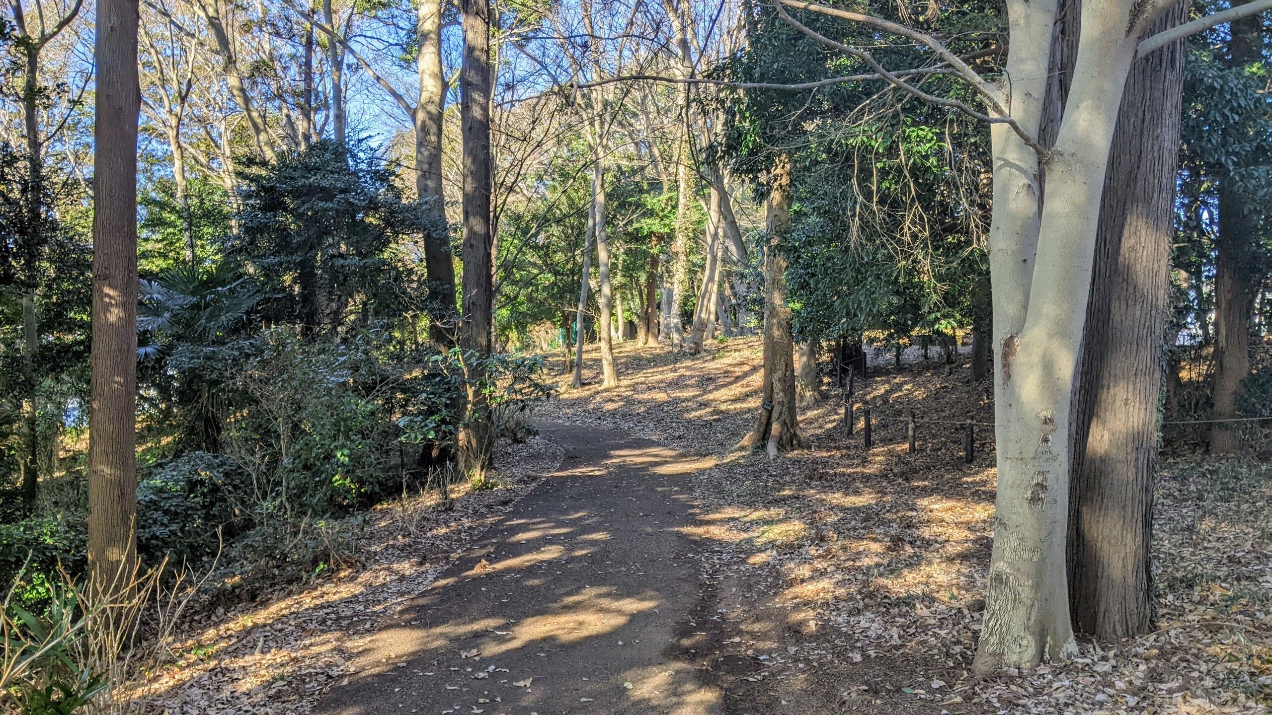 丘の上にある林を周回する散歩道が通っており、小さな自然公園になっている