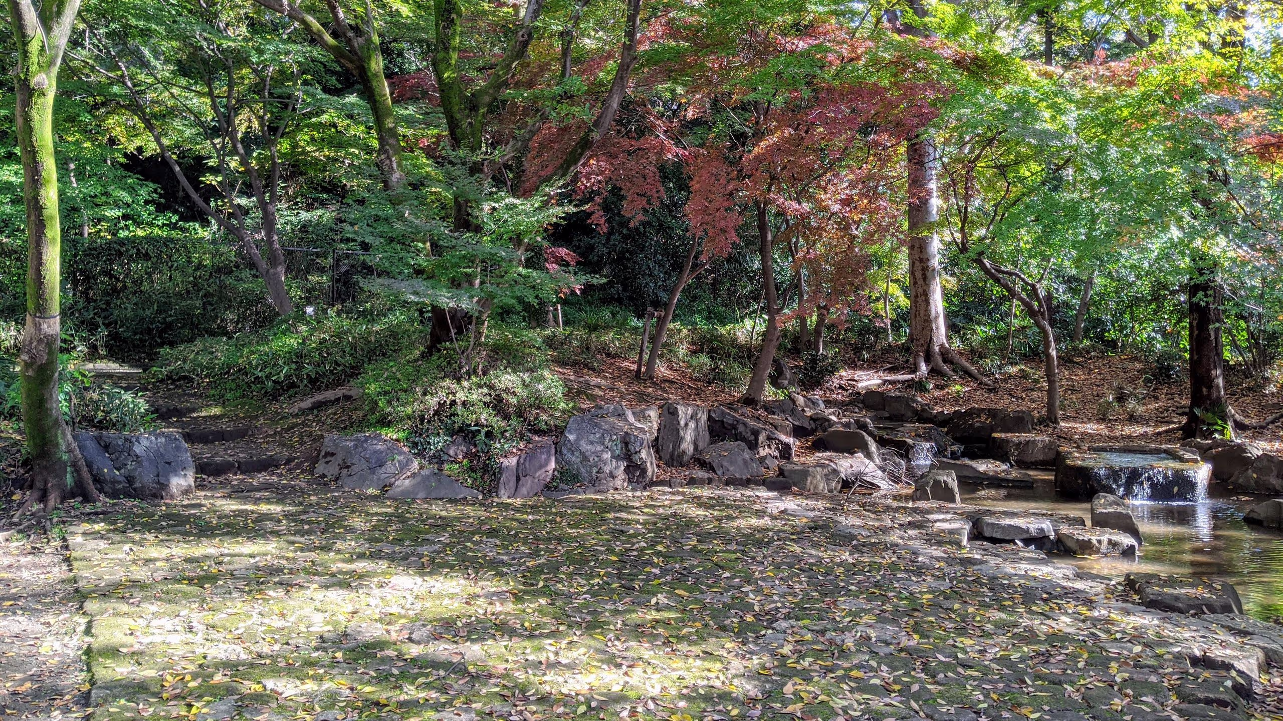 静嘉堂がある丘のふもと側にもよい公園があった。