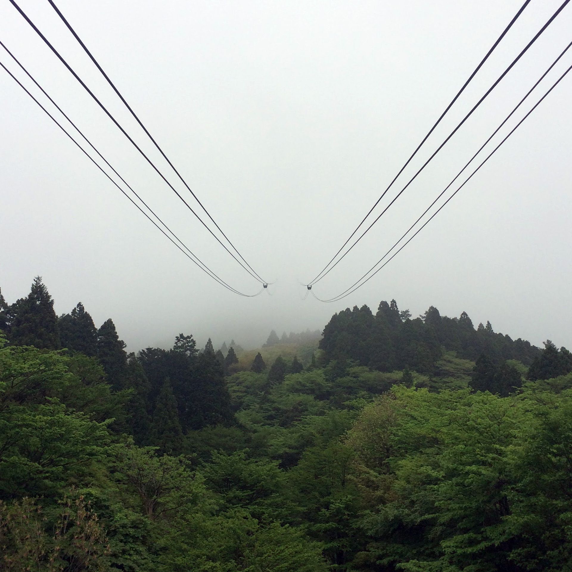 霧がすごく、まったく駒ケ岳の頂上が見えない。