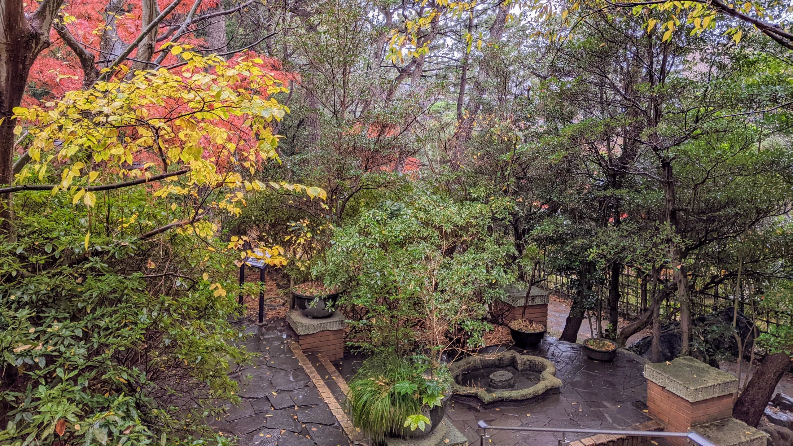 木々の中に水盆があり、冬の今は一部紅葉している