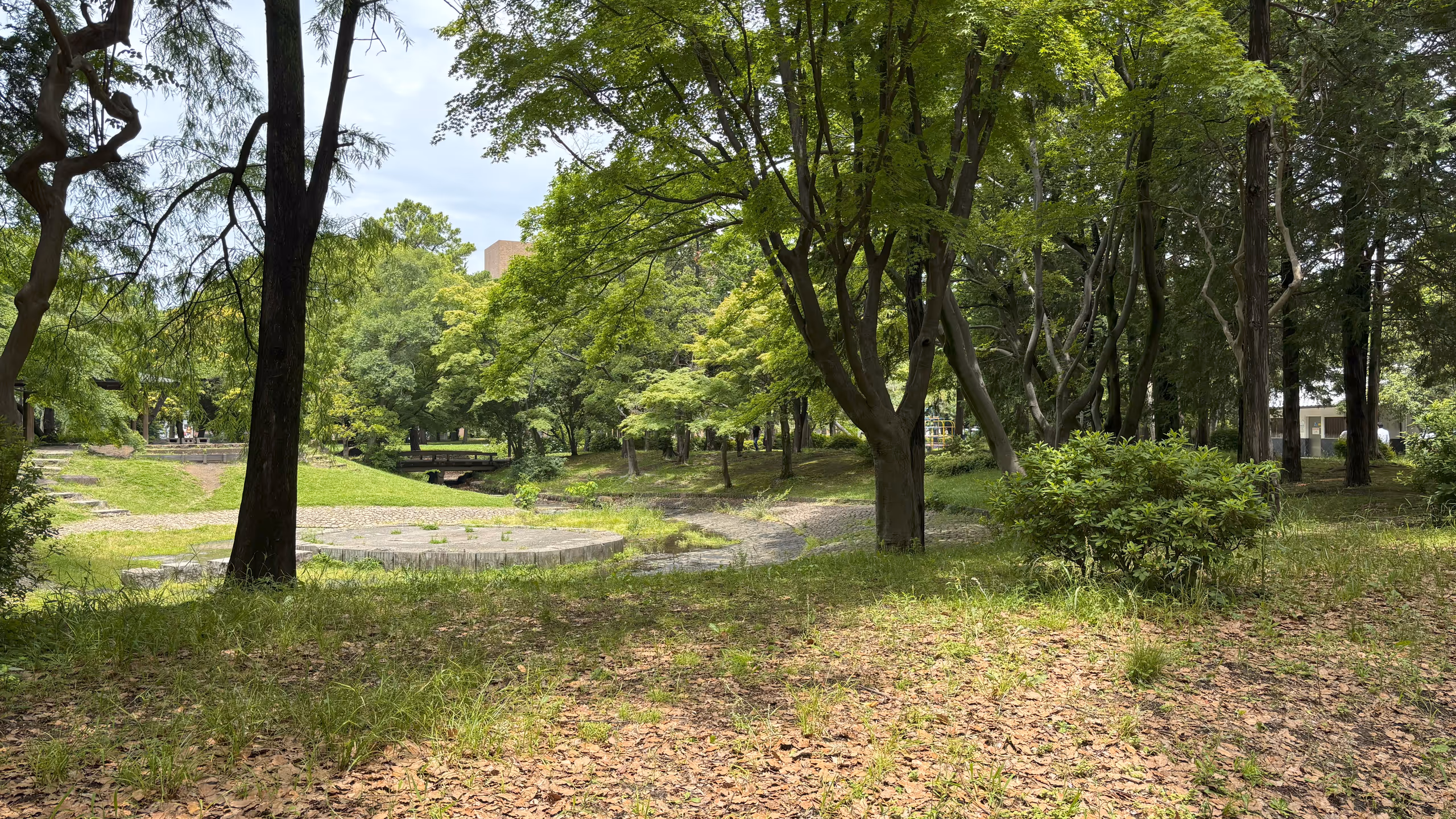 多くの木々が並ぶ中に少し開けた空間がある。奥に端が見えるので、水路があり、その横に舞台のような空間が設けられているようだ。