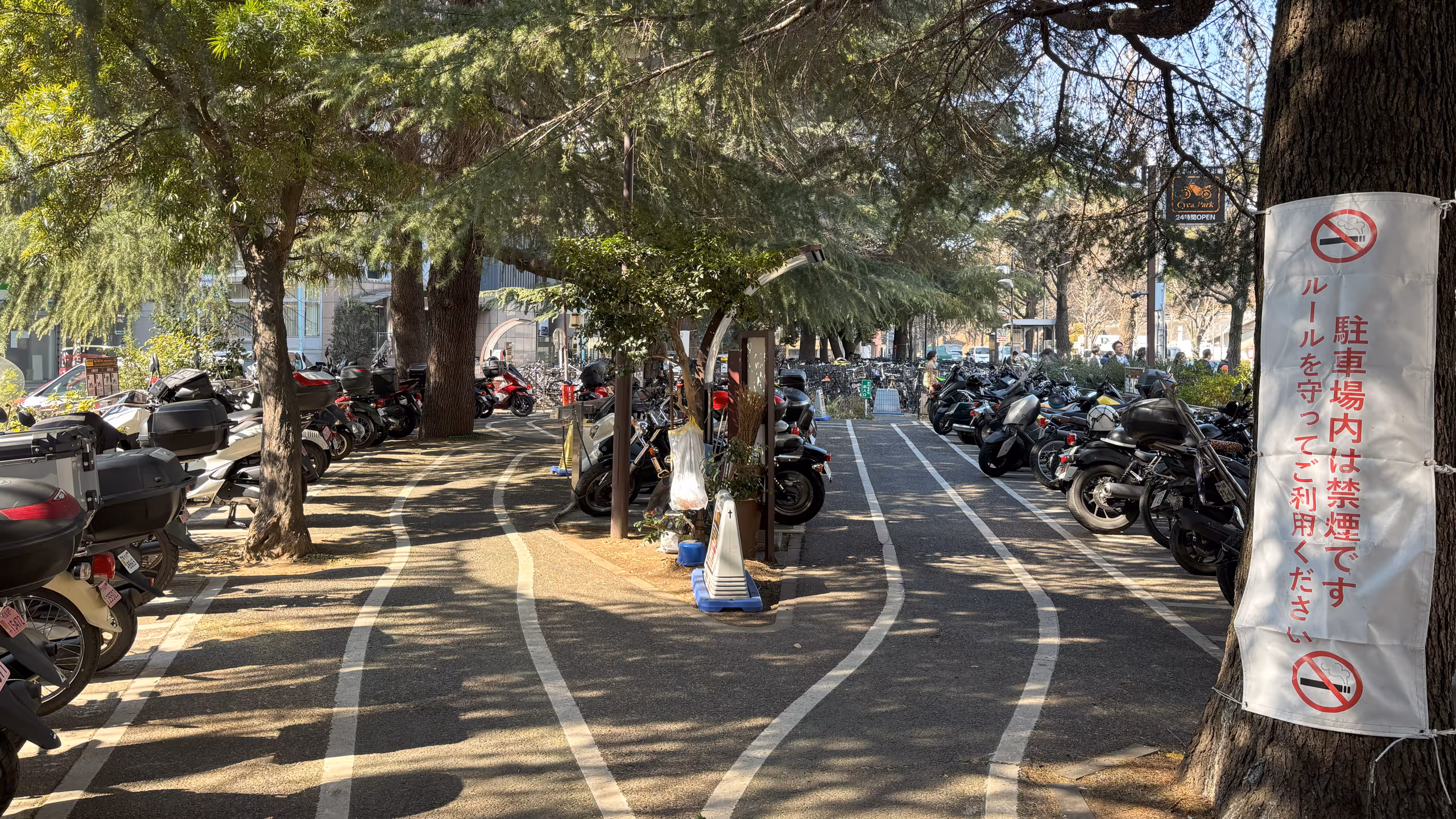 大きく育った木々の間を縫うように駐輪場が作られ、多くのバイクが停められている。