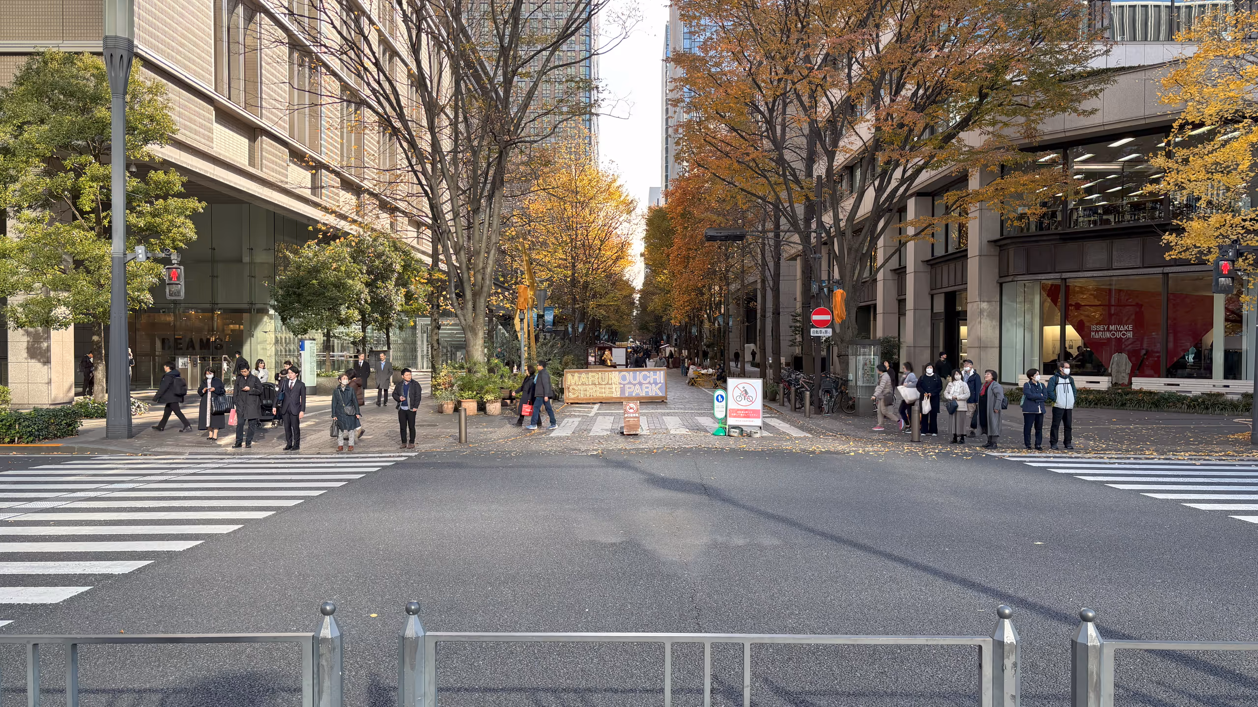 行幸通りから見る仲通りの並木たちは、色づき終わり、一部は葉が落ち始めている。