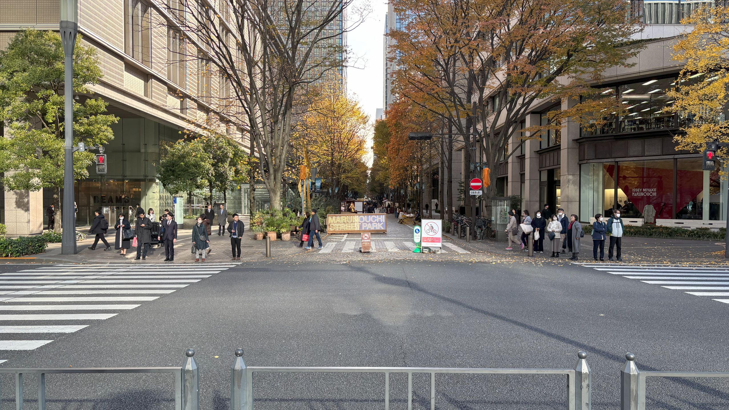 行幸通りから見る仲通りの並木たちは、色づき終わり、一部は葉が落ち始めている。