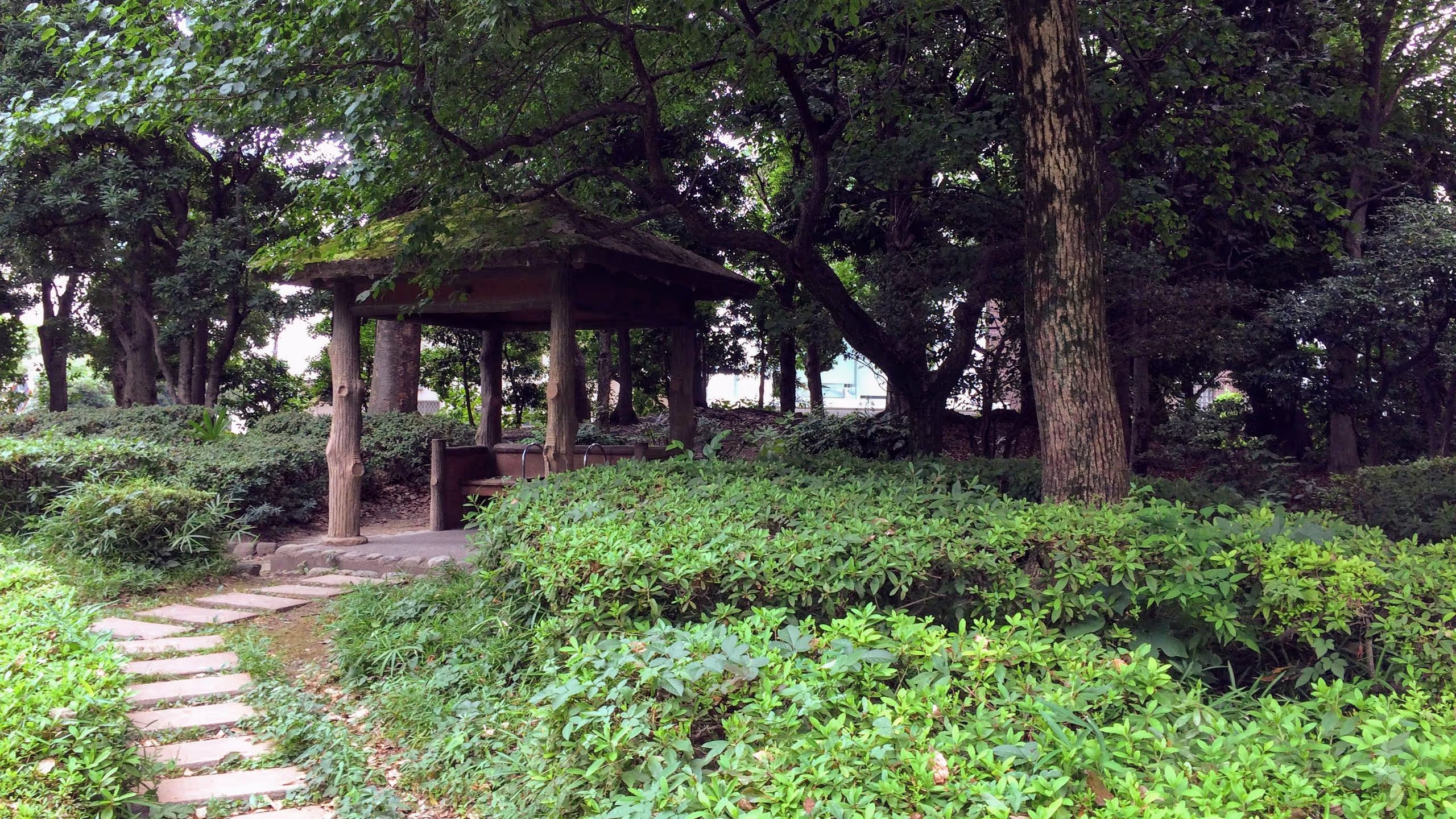 駅から目黒通りを抜け目黒川を渡ると美術館やテニスコート、プールなどがある区民センター公園に出る。