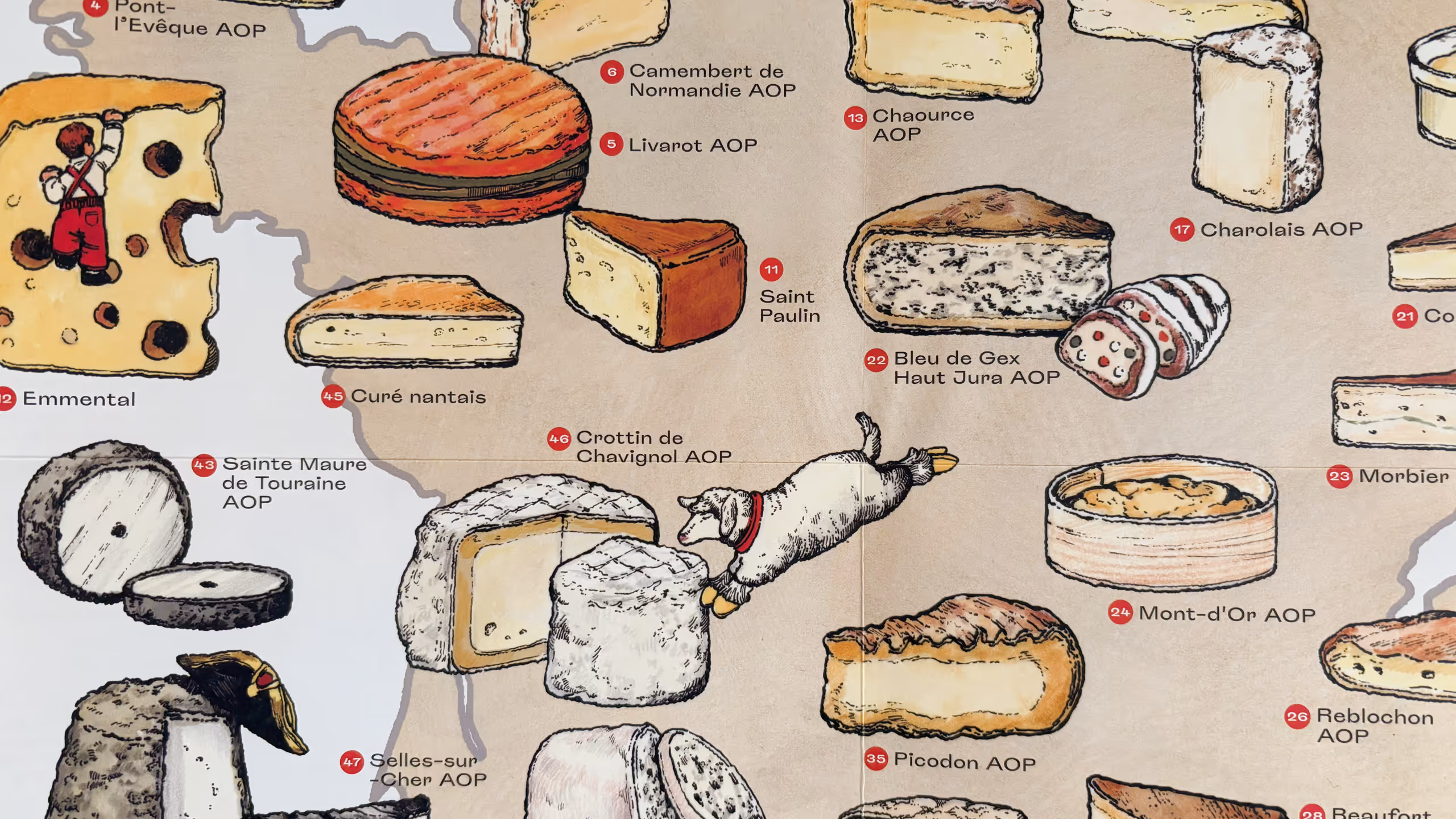 フランスの各地方で作られている様々なチーズのイラストがフランスの地図に描かれており、やや左上にはイグサで巻かれたリヴァロ、左端にある穴が特徴のエメンタールは子供がその穴を登っている。