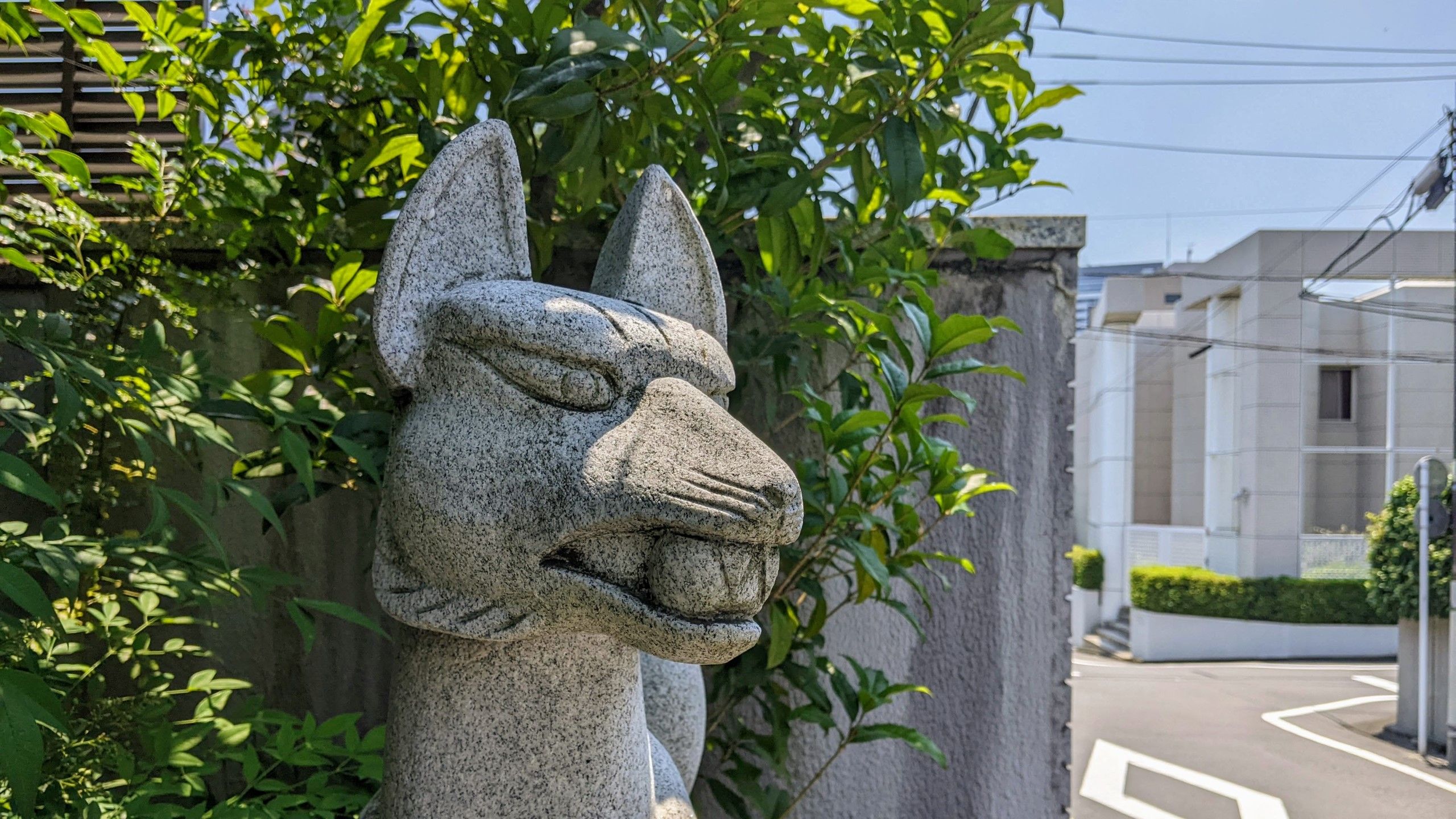 玉を咥えている大山稲荷神社の狛狐